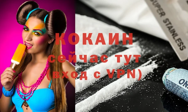 индика Алексин