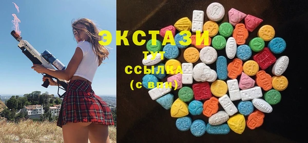 индика Алексин